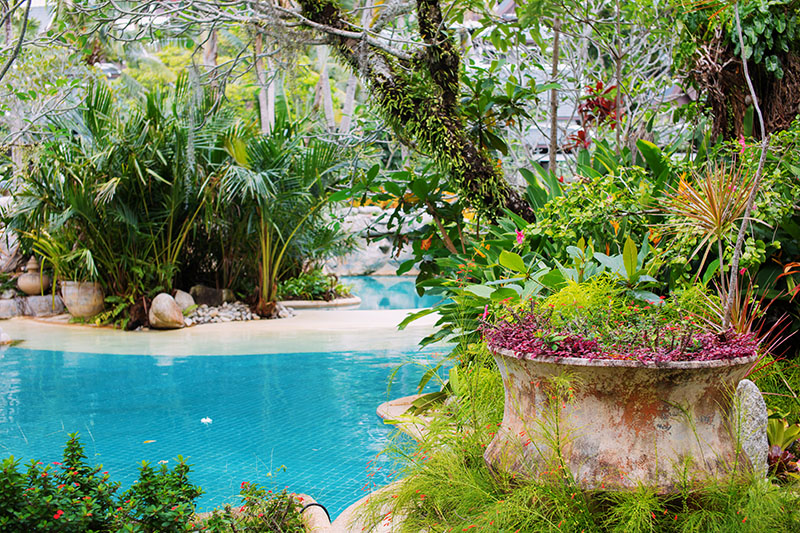 Création de piscine lagon Châtelaudren-Plouagat